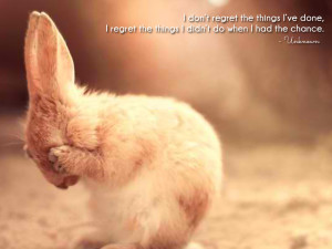 Bunny of Regret