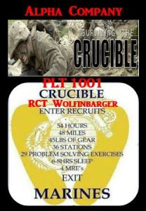 the crucible