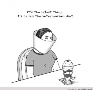 The-veterinatian-diet