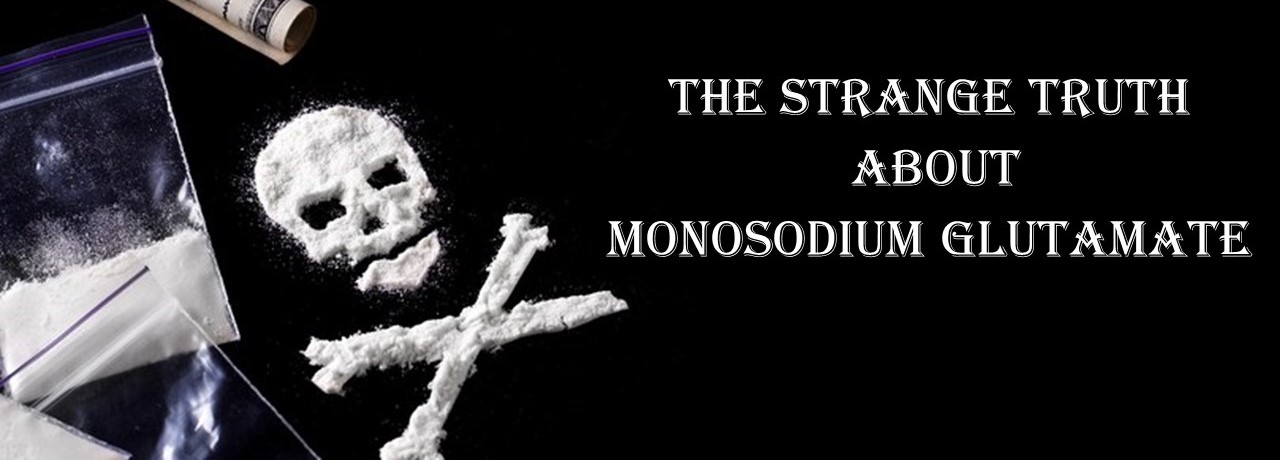 the-strange-truth-about-monosodium-glutamate-destination-discipline