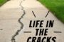 Life in the cracks