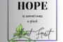 Hope is sometimes a plant without fruit